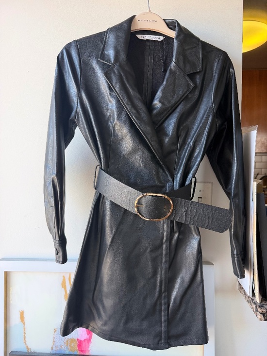 Zara Dresses & Skirts - Zara faux leather dress